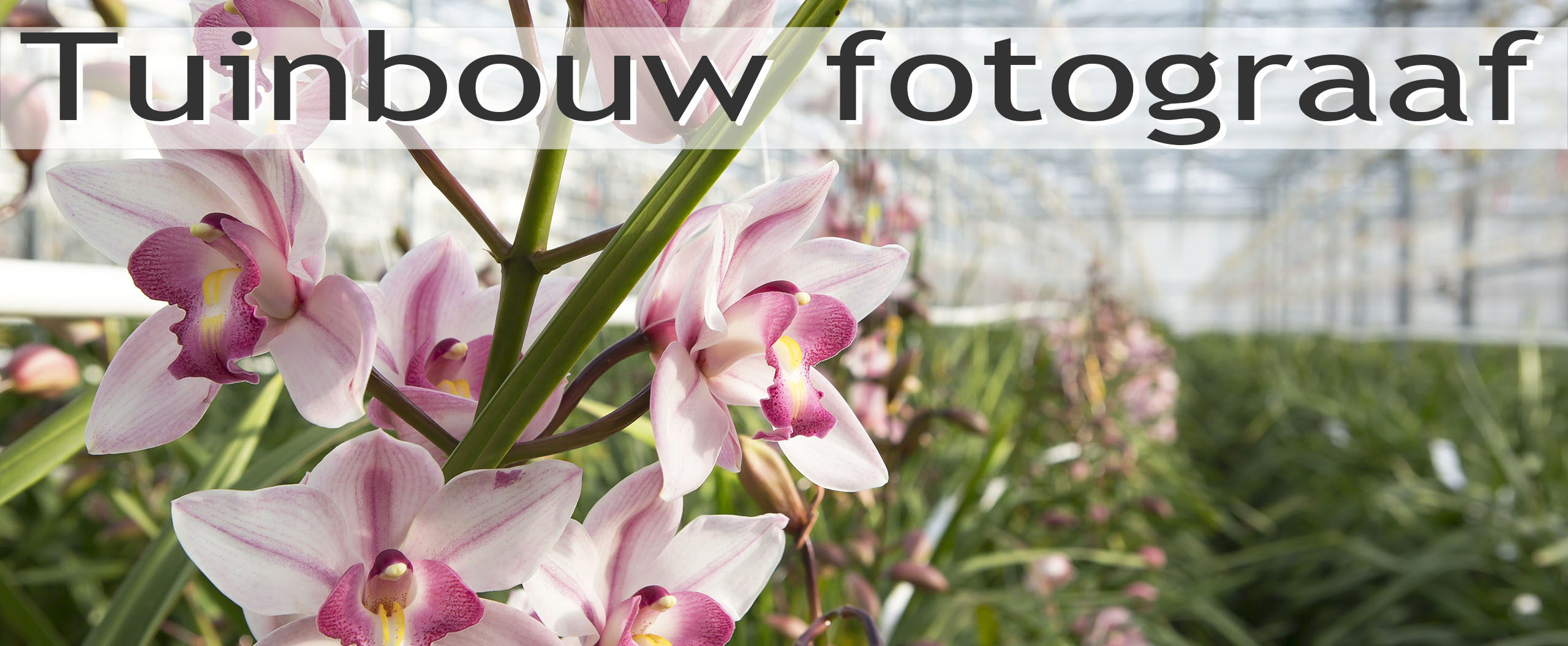 tuinbouwfotograaf